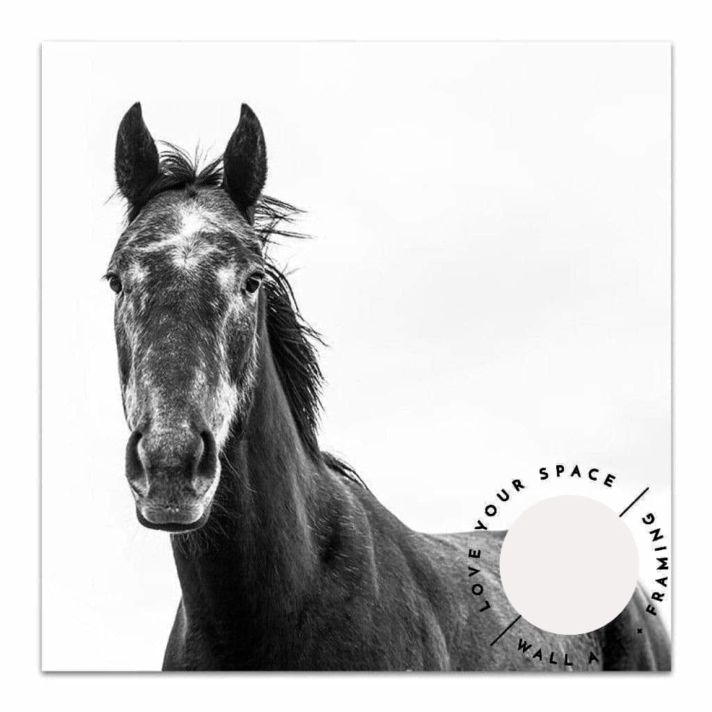 Horse I - SQUARE - Love Your Space