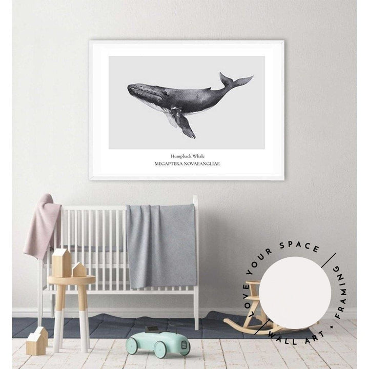 Humpback Whale - Love Your Space