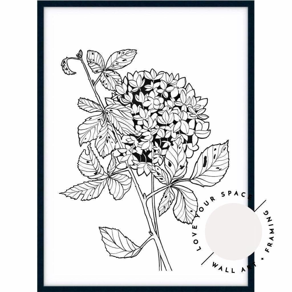 Hydrangea Sketch - Love Your Space