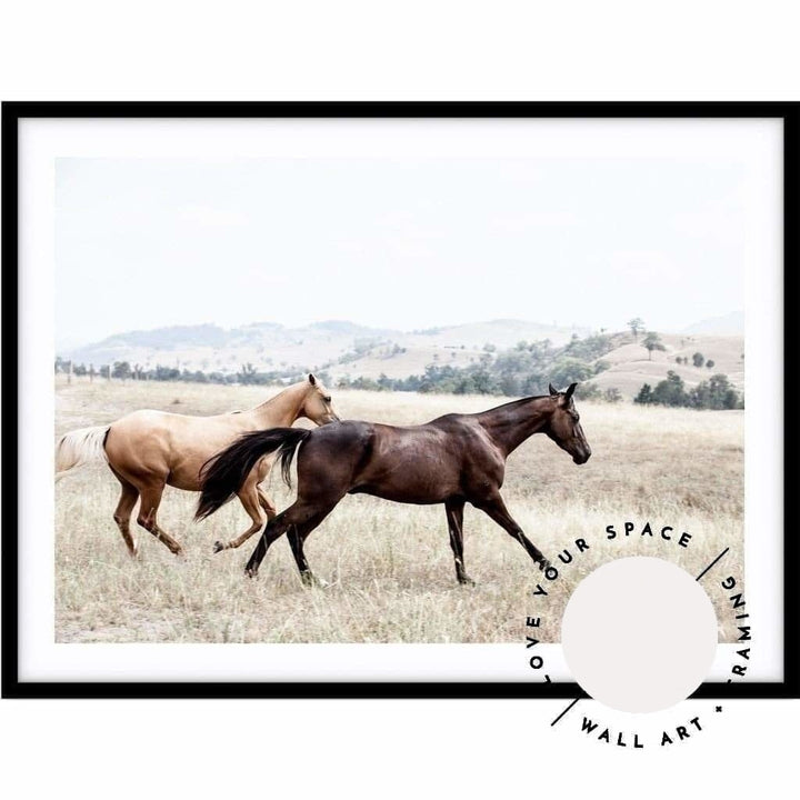 Ishani & Aussie no.1 - The Hunter Valley - Love Your Space