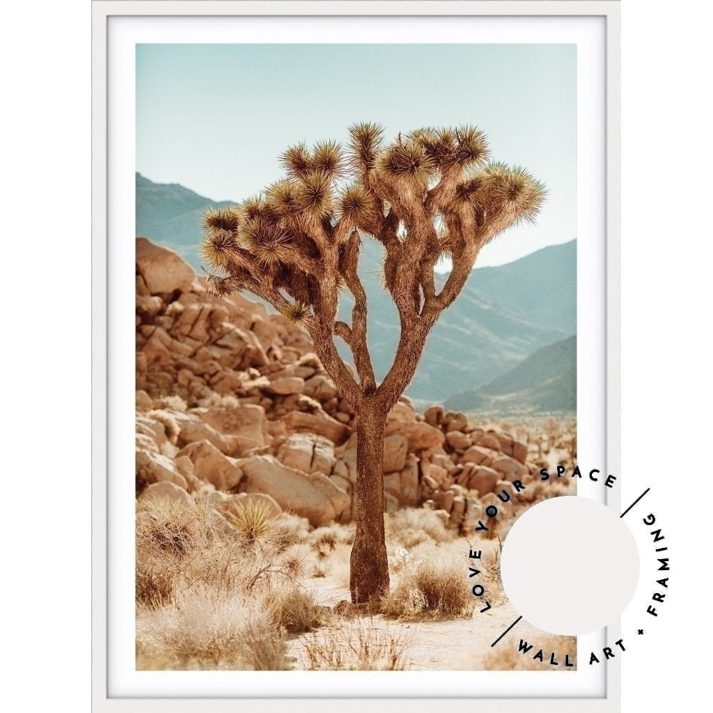 Joshua Tree no.1 - Love Your Space