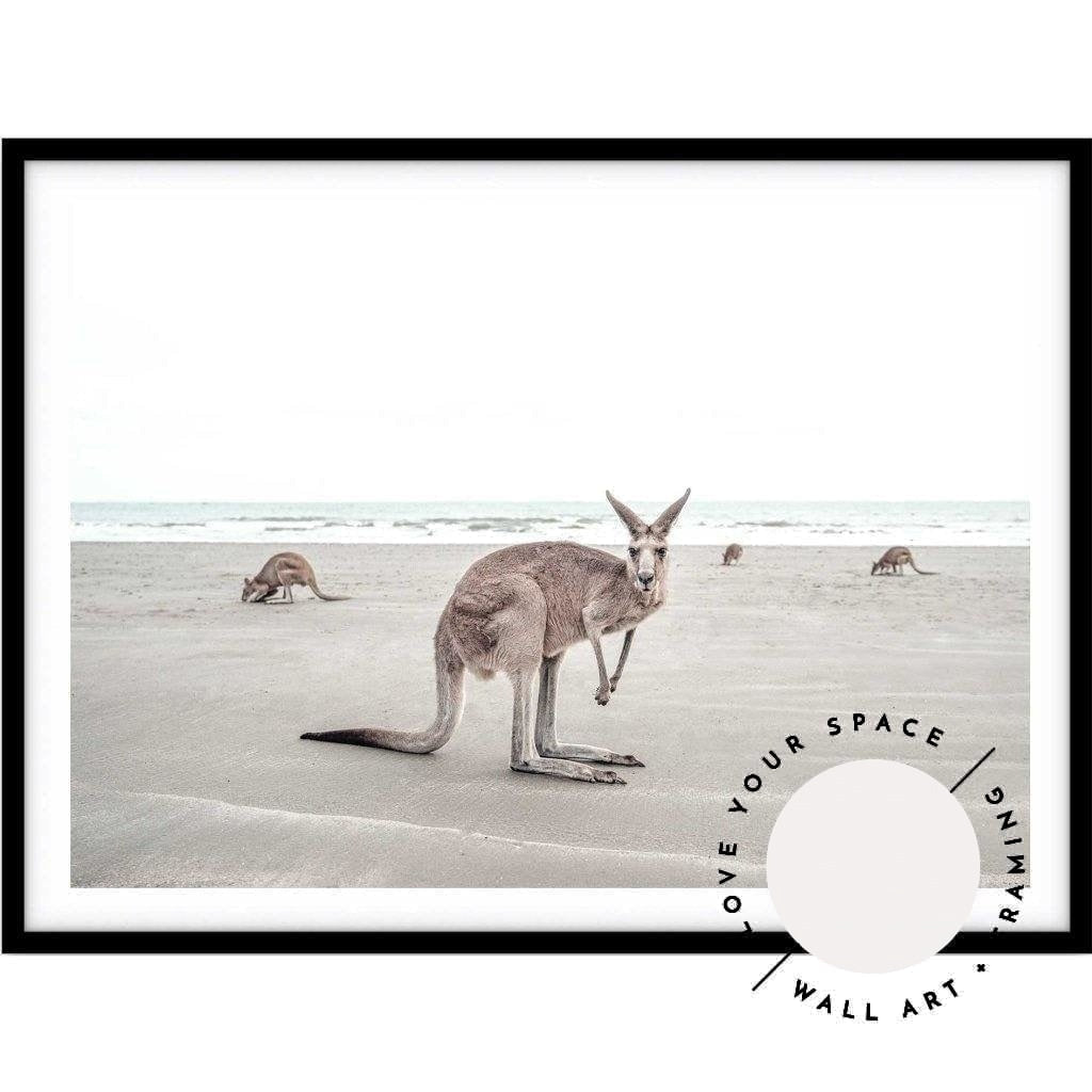 Kangaroos - Love Your Space