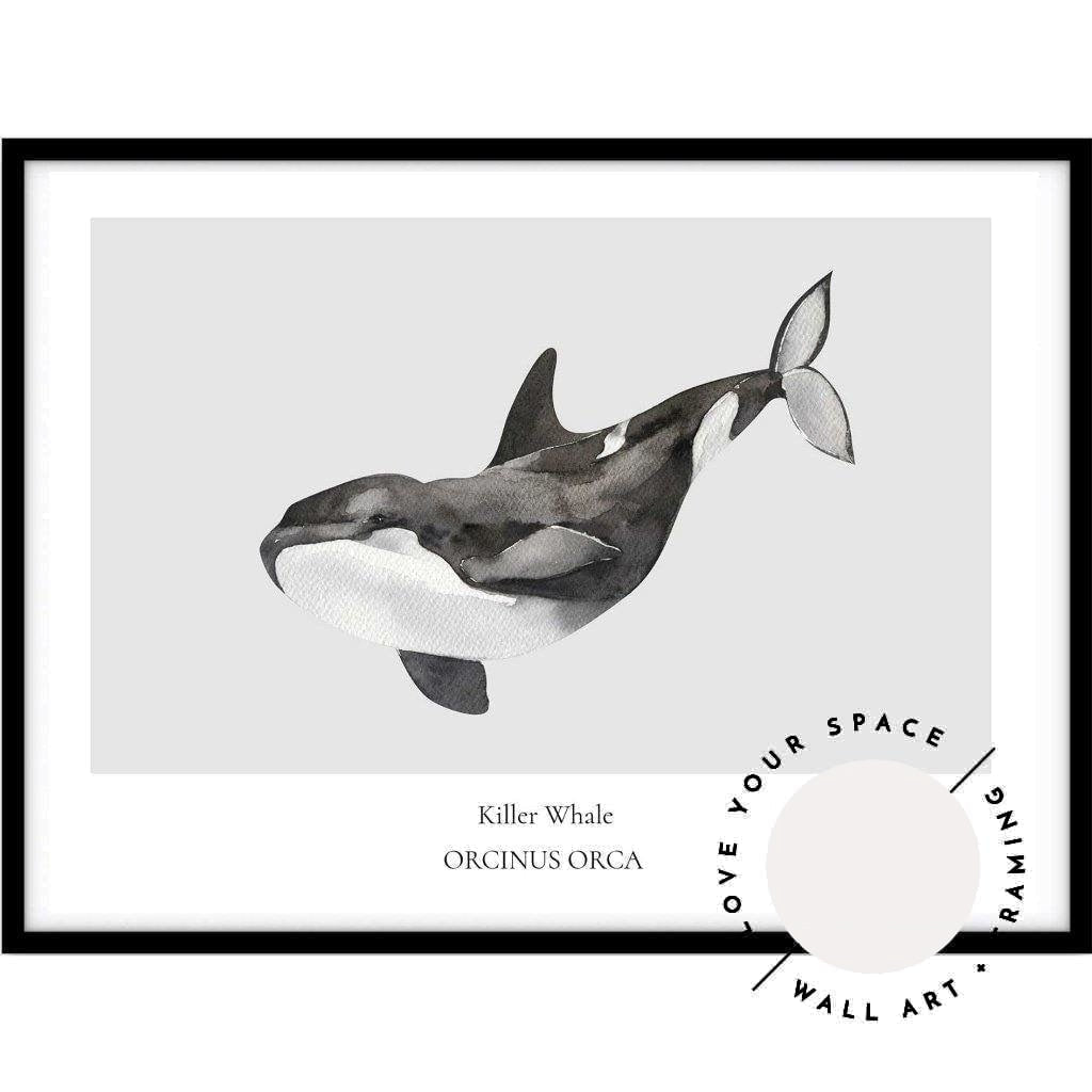 Killer Whale - Love Your Space