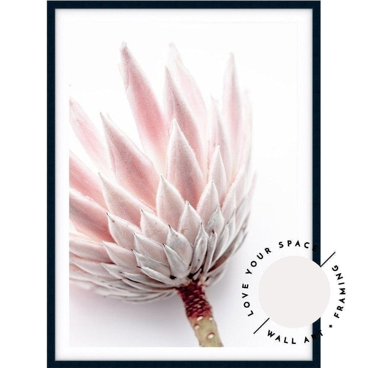 King Protea I - Love Your Space