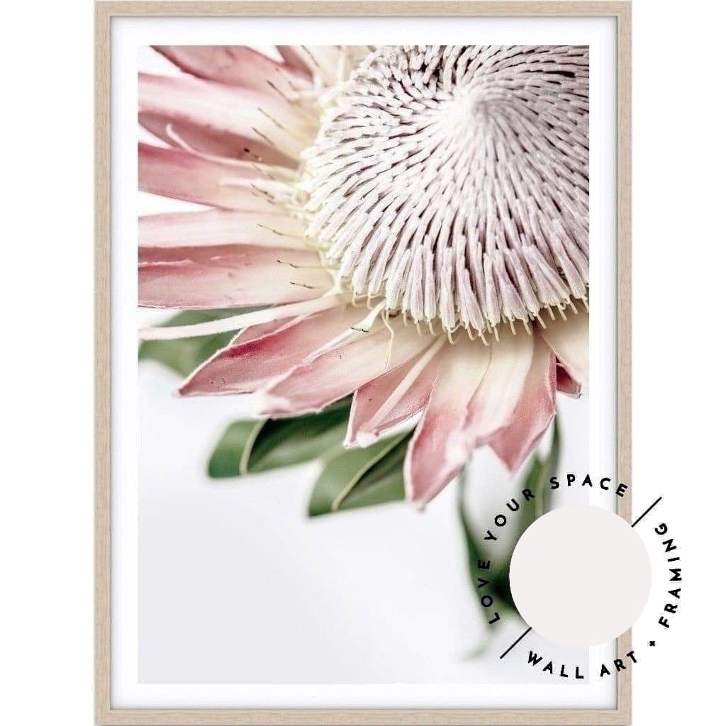 King Protea II - Love Your Space