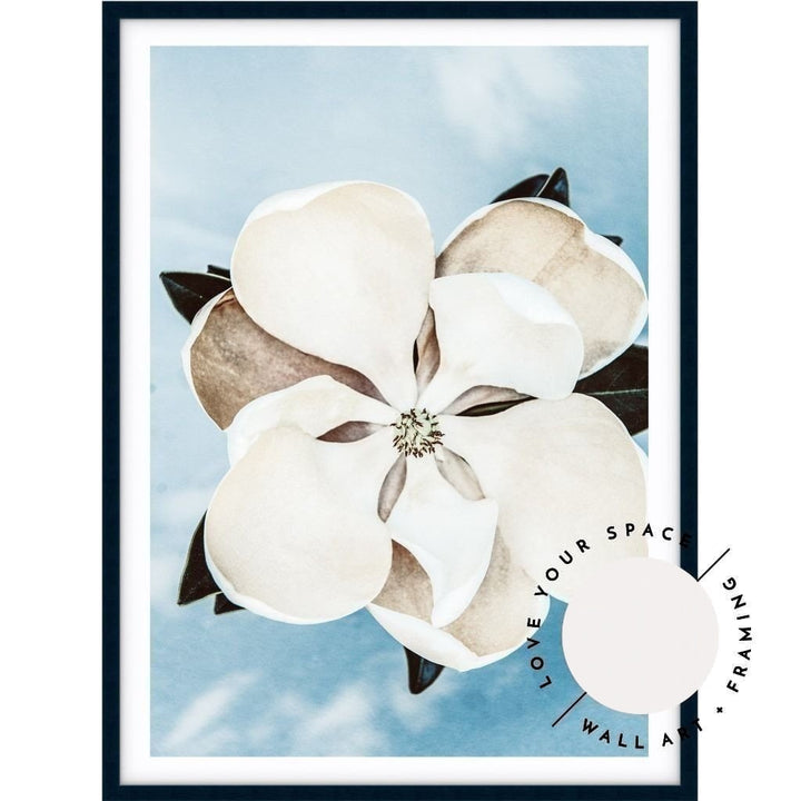 Magnolia On Blue - Love Your Space