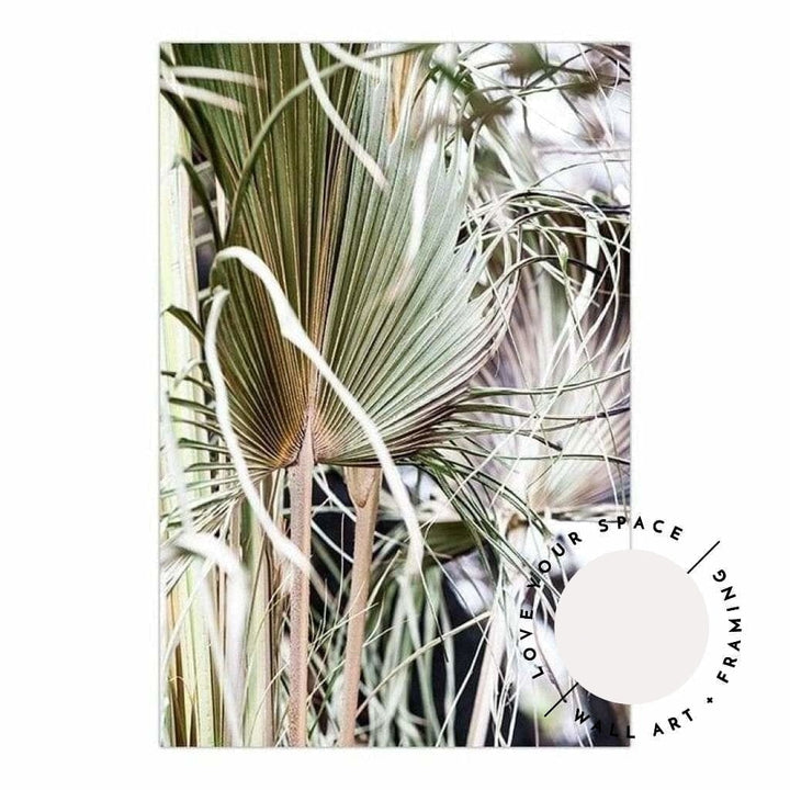 Messy Fan Palms no.2 - Love Your Space