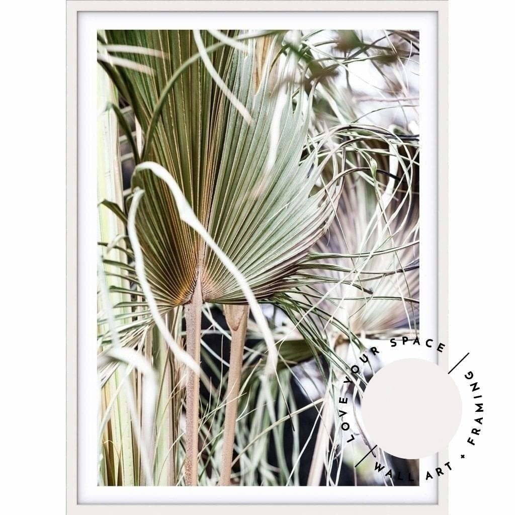 Messy Fan Palms no.2 - Love Your Space