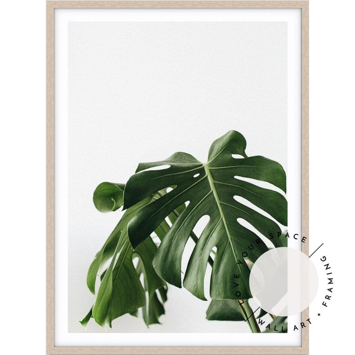 Monstera Leaf - Love Your Space