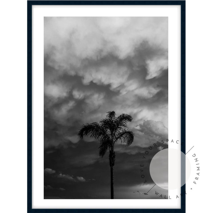 Moody Palm