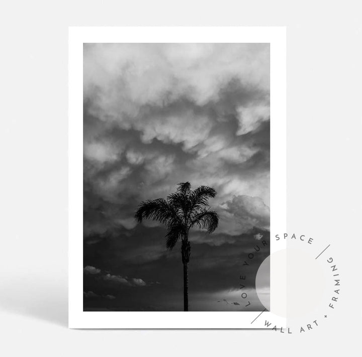 Moody Palm