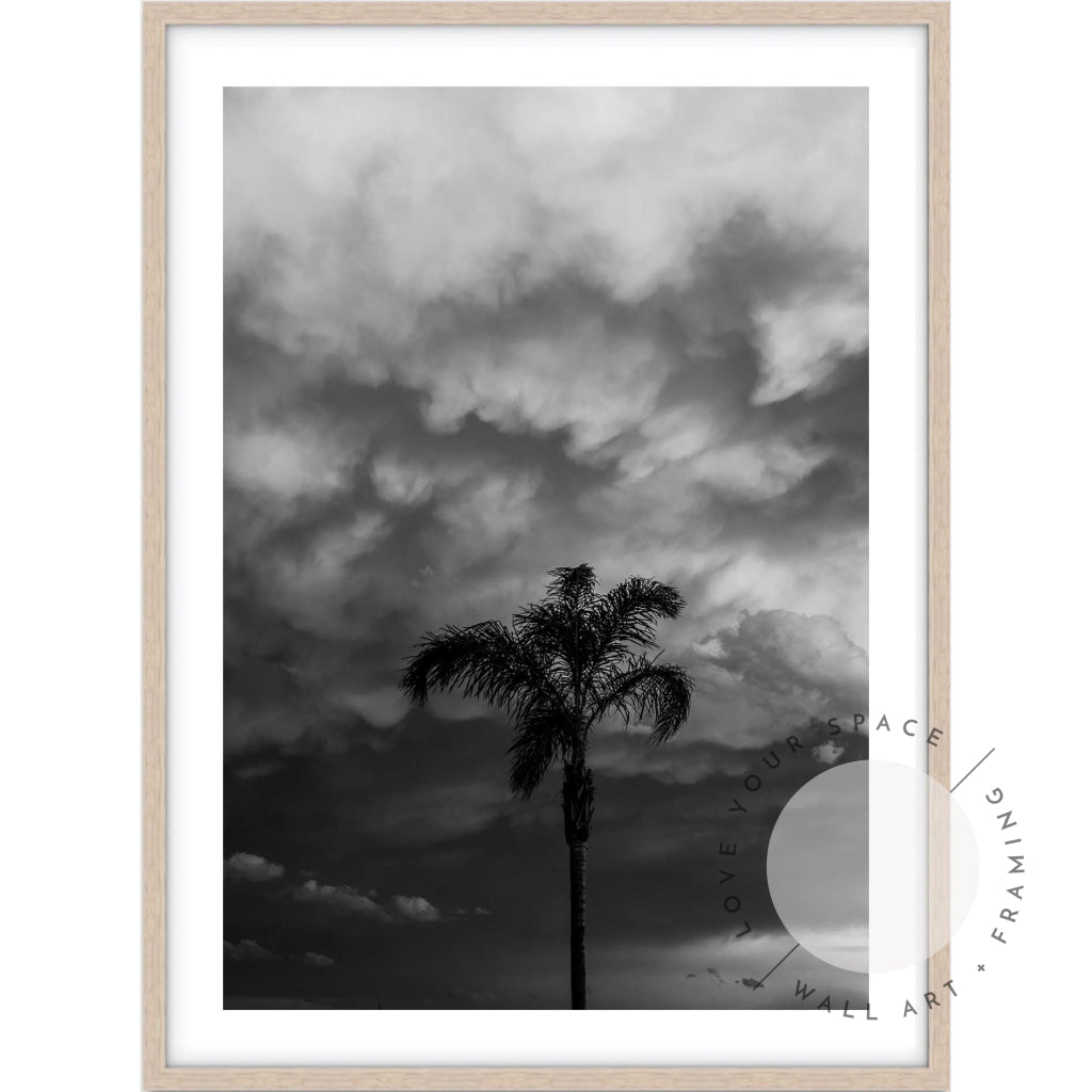 Moody Palm