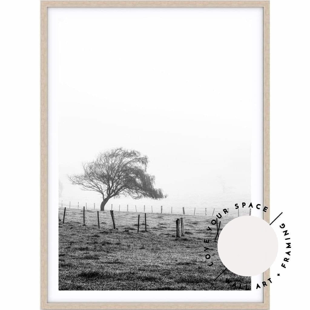 Morning Fog II - Black & White - Country Victoria - Love Your Space