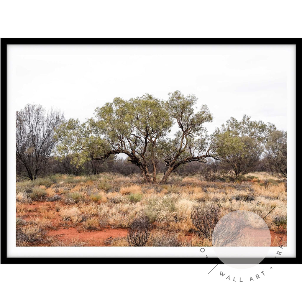 Our Land Uluru I