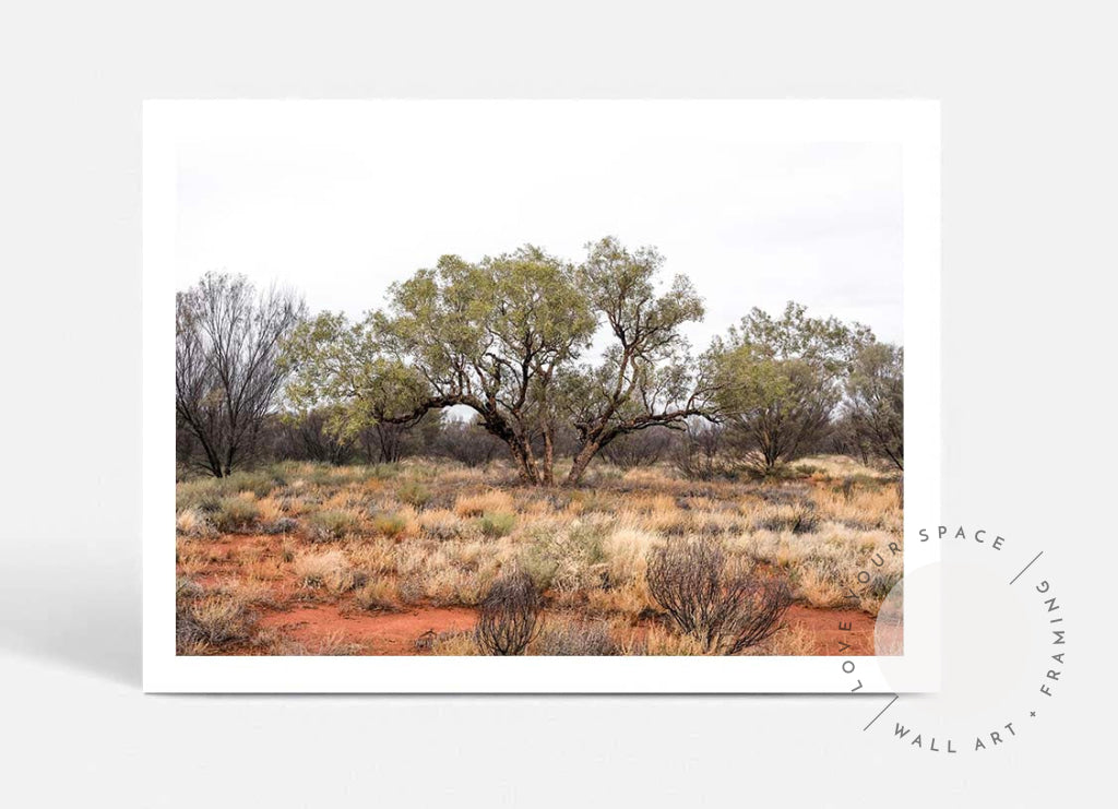 Our Land Uluru I