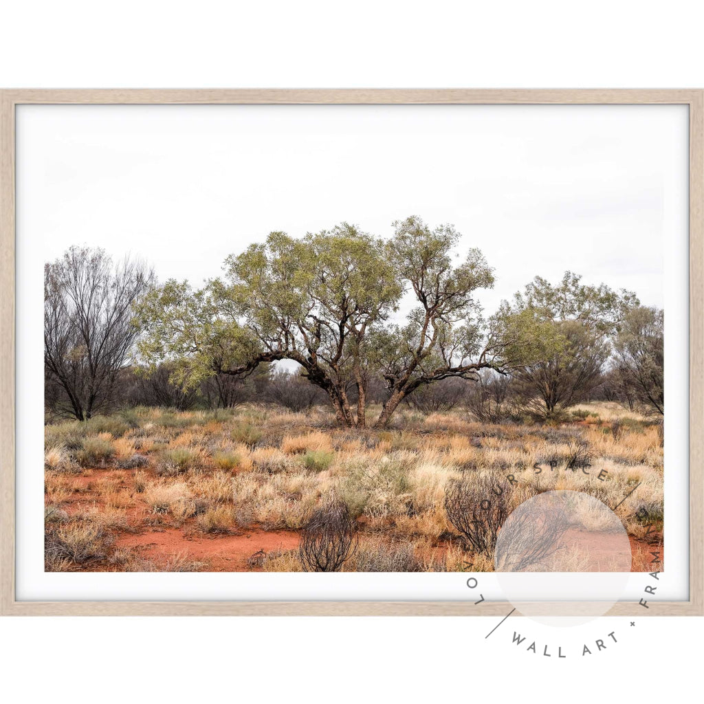 Our Land Uluru I