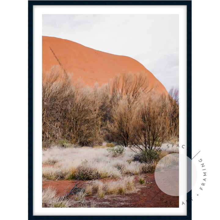 Our Land Uluru IV - Portrait