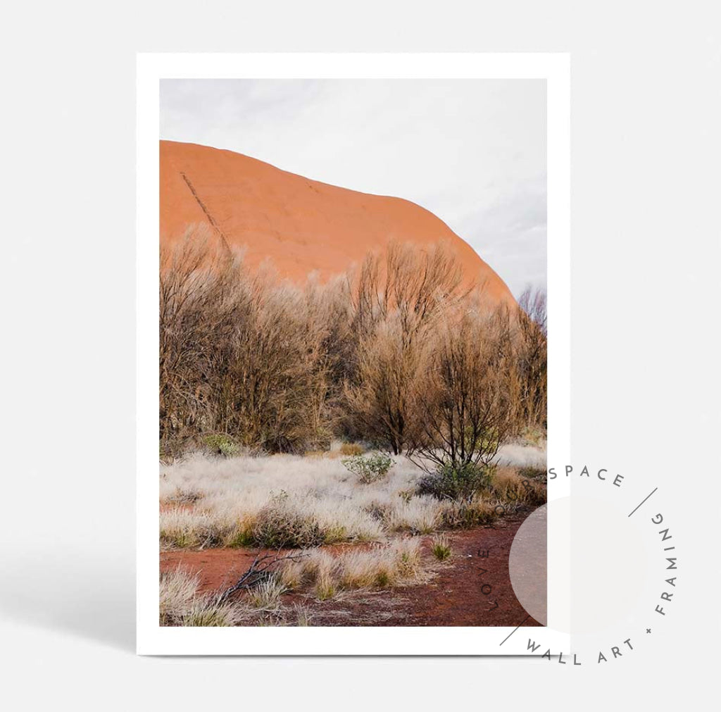 Our Land Uluru IV - Portrait