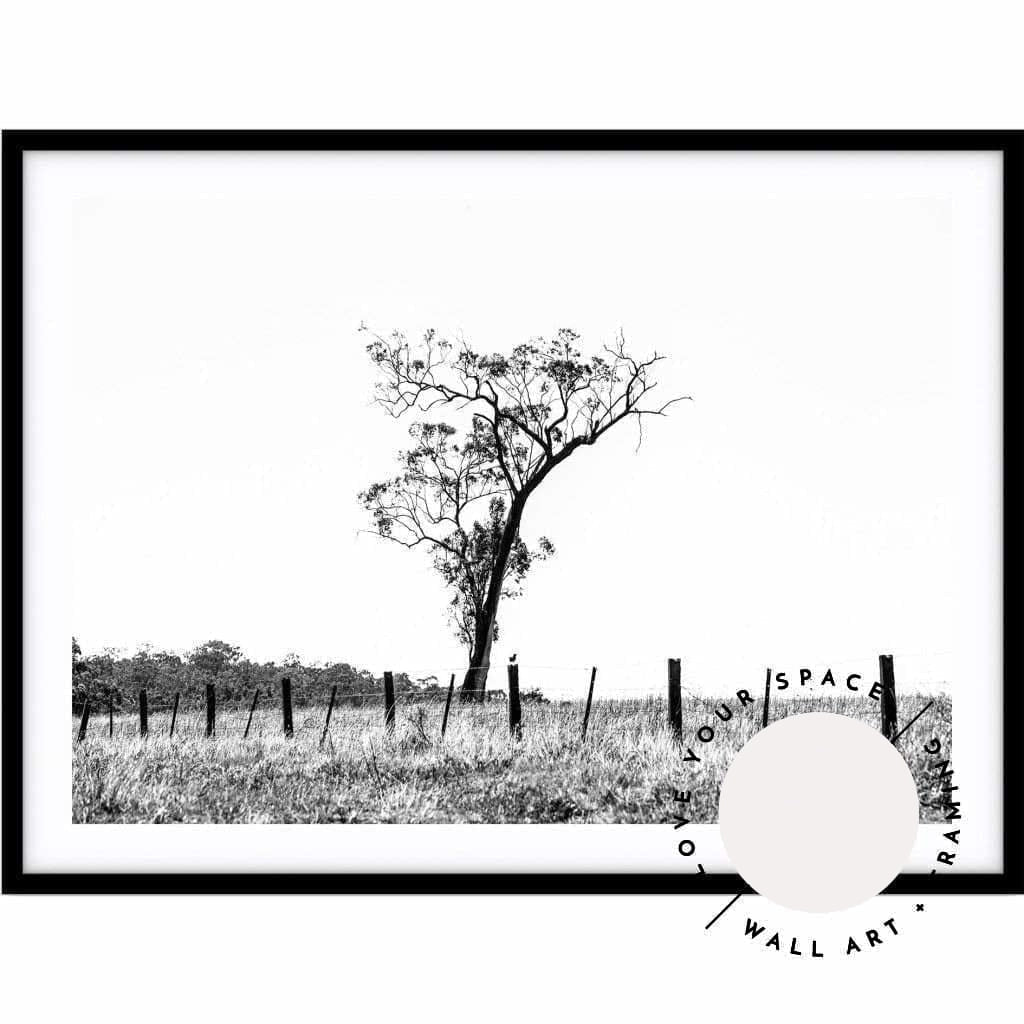 Outback no.2 - Black & White - The Hunter Valley - Love Your Space