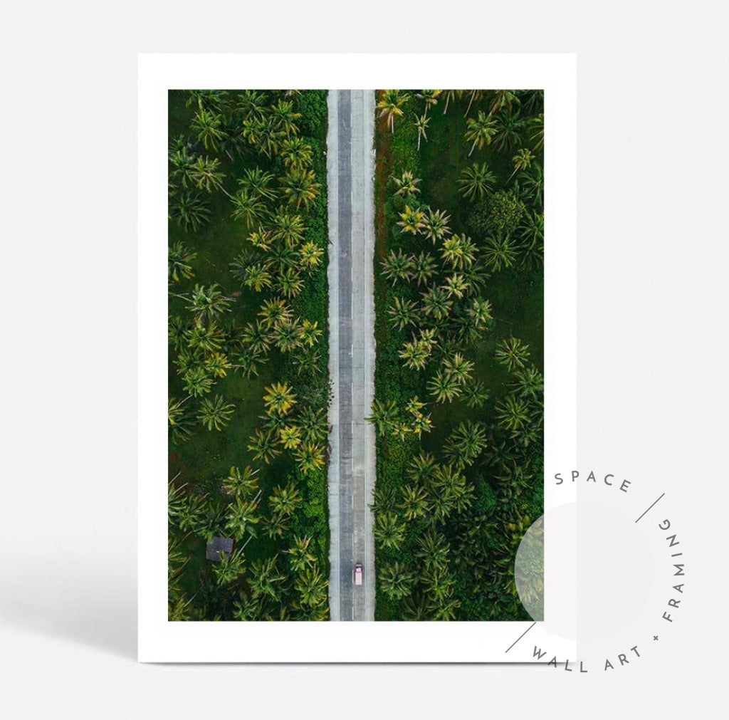 Palms From Above - Hawaii