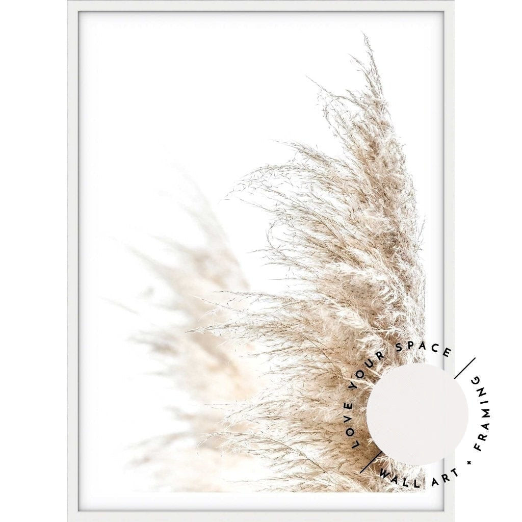 Pampas Grass no.1 - Love Your Space