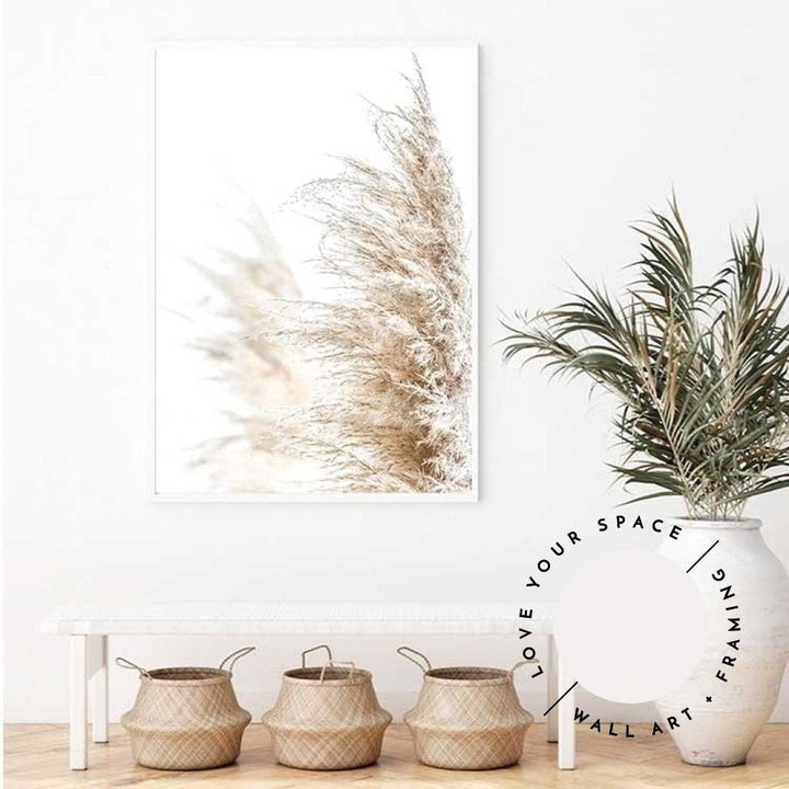 Pampas Grass no.1 - Love Your Space