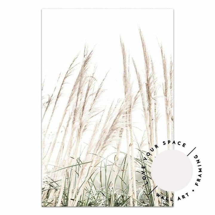 Pampas Grass no.2 - Love Your Space