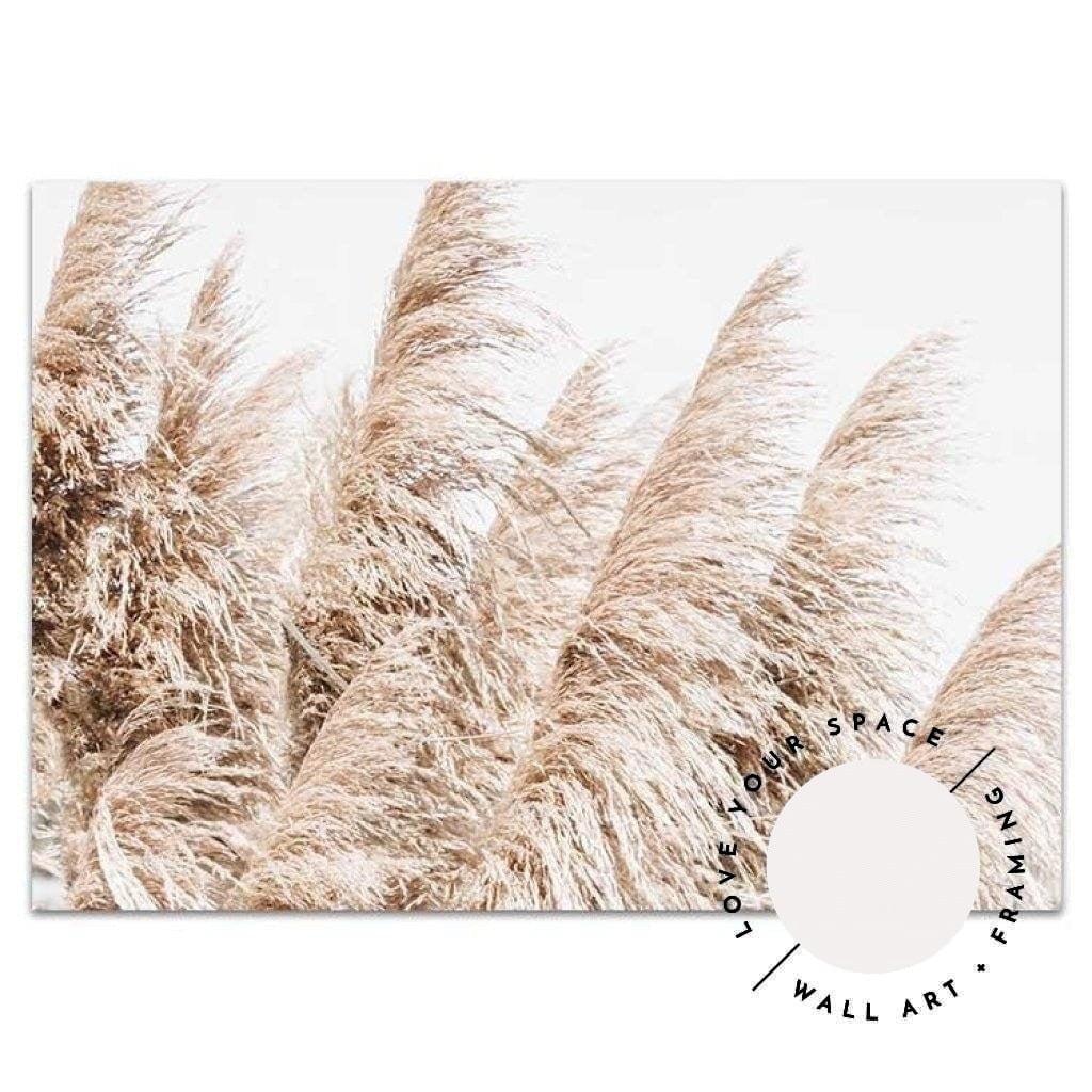 Pampas Grass no.4 - Love Your Space