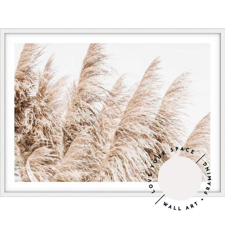 Pampas Grass no.4 - Love Your Space