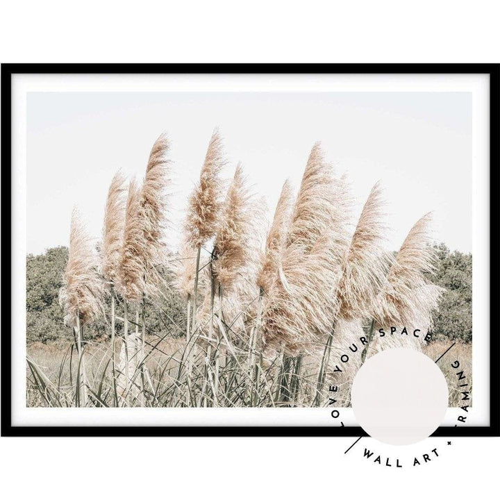 Pampas Grass no.5 - Love Your Space