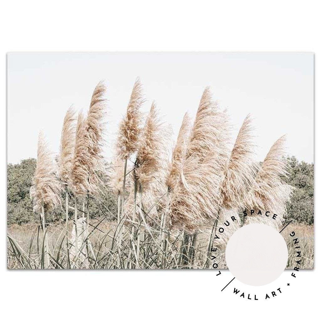 Pampas Grass no.5 - Love Your Space