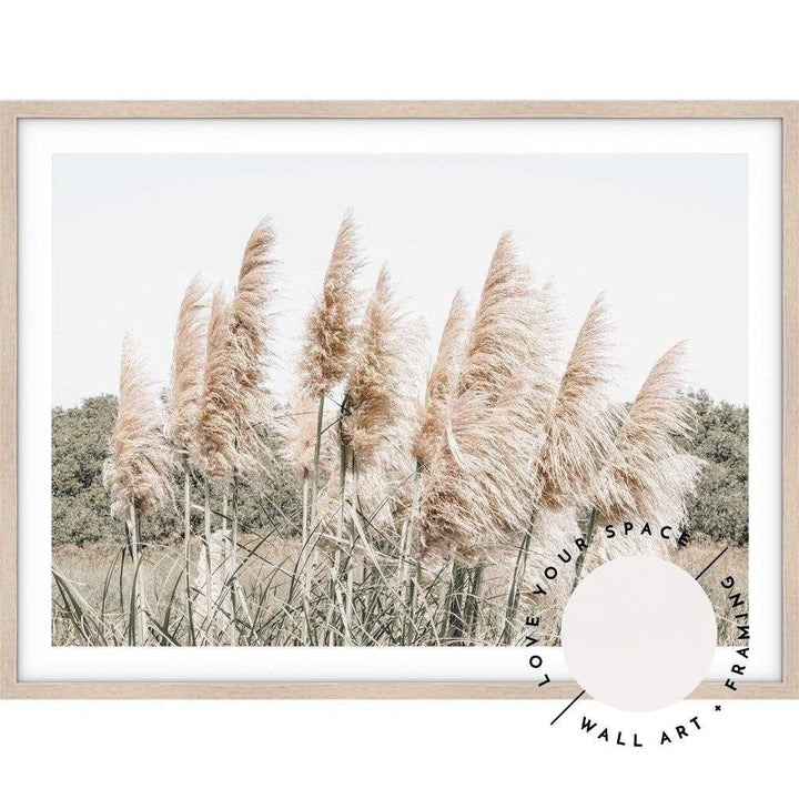 Pampas Grass no.5 - Love Your Space