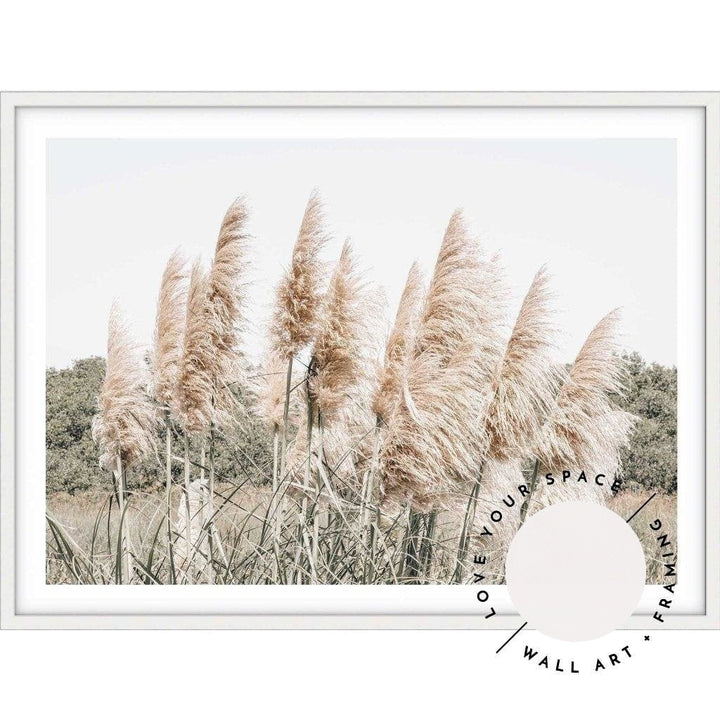 Pampas Grass no.5 - Love Your Space