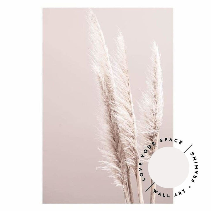 Pampas On Pink - Love Your Space