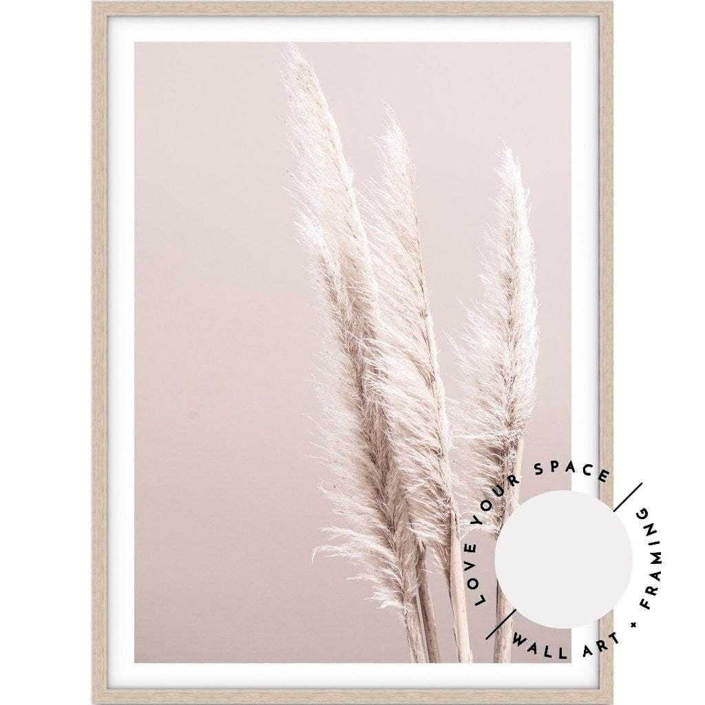 Pampas On Pink - Love Your Space