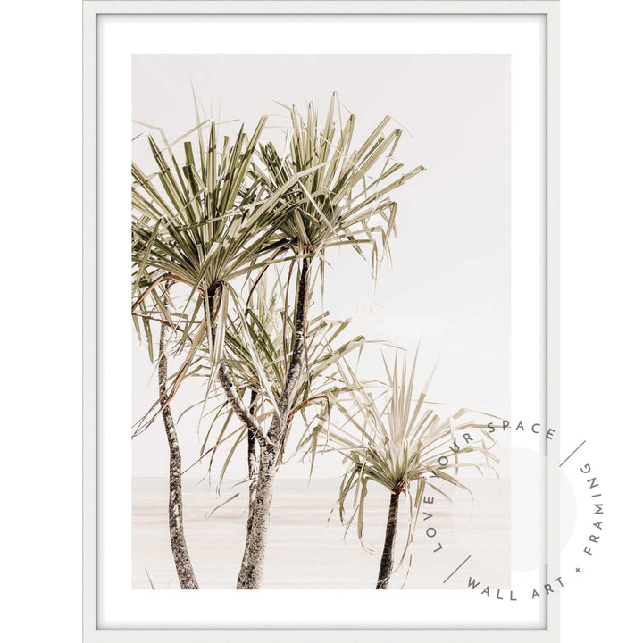 Pandanus Trees I