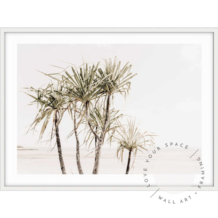 Pandanus Trees II