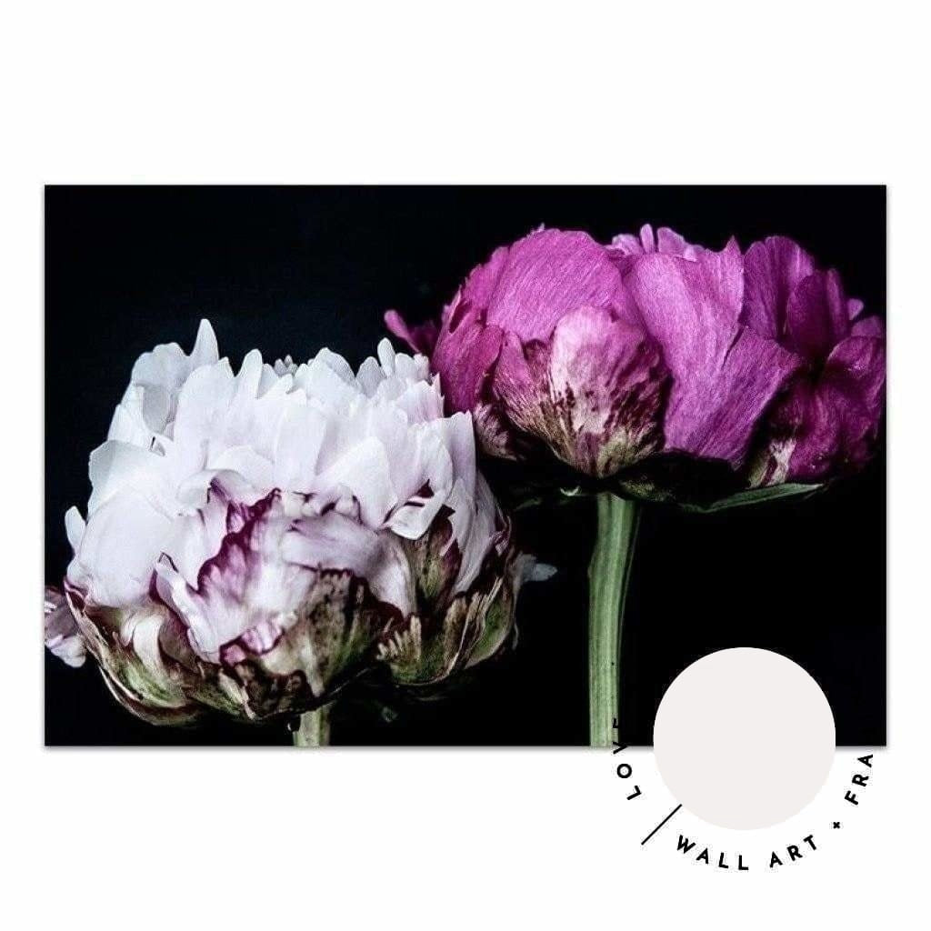 Peony Pair - Love Your Space