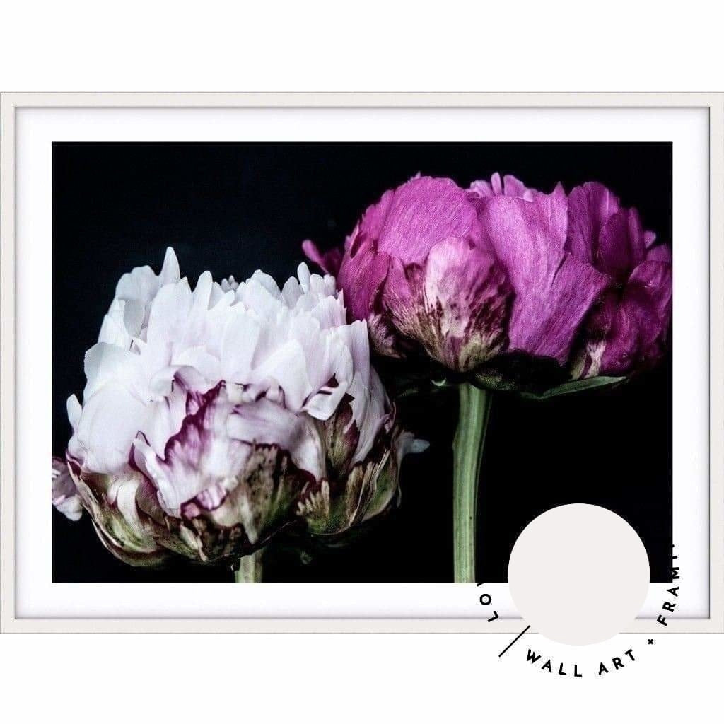 Peony Pair - Love Your Space