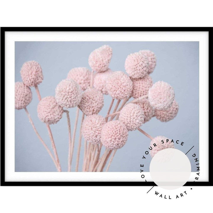 Pink Billy Buttons - LS - Love Your Space