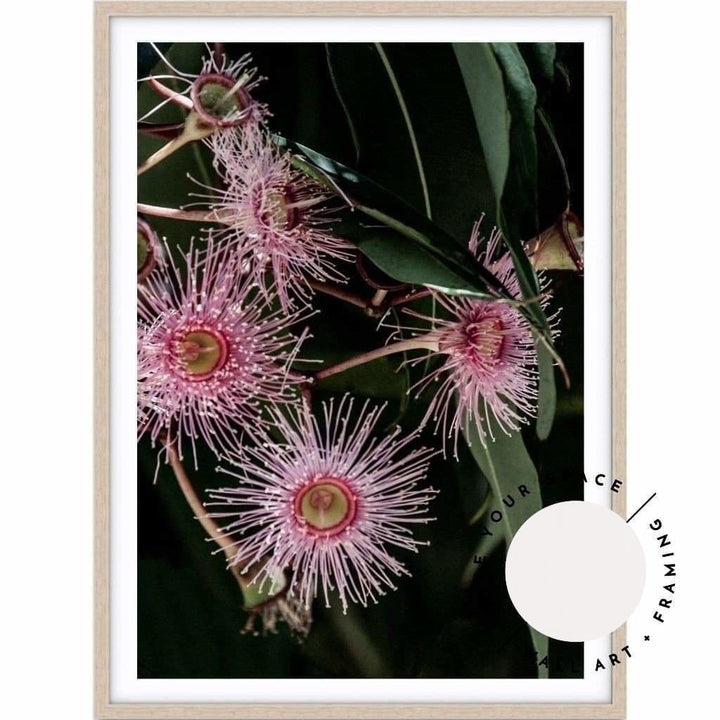 Pink Eucalyptus no.2 - Love Your Space