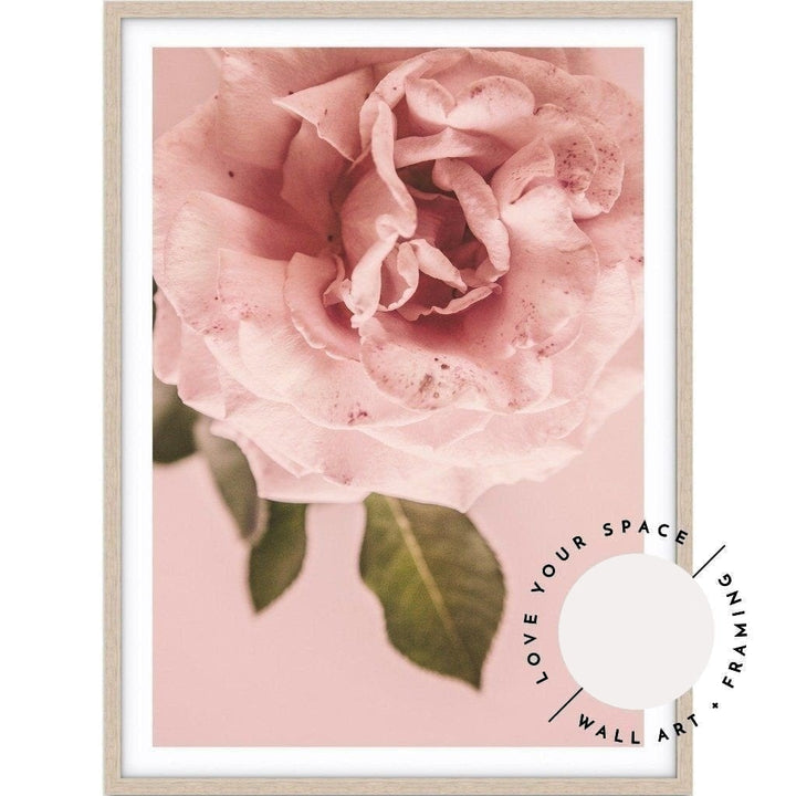 Pink Rose - Love Your Space