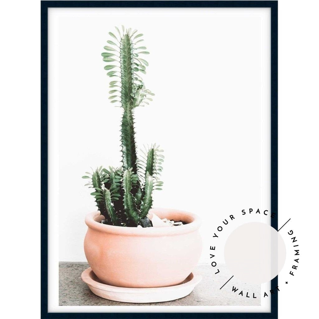 Potted Cactus - Love Your Space