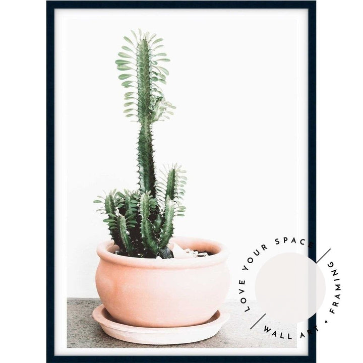 Potted Cactus - Love Your Space