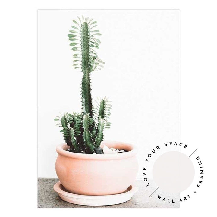 Potted Cactus - Love Your Space