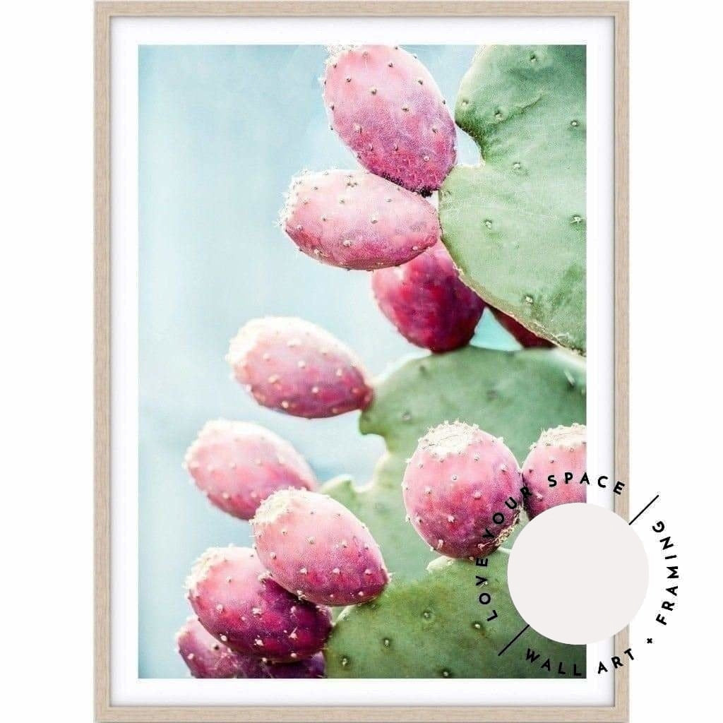 Prickly Pear - Love Your Space