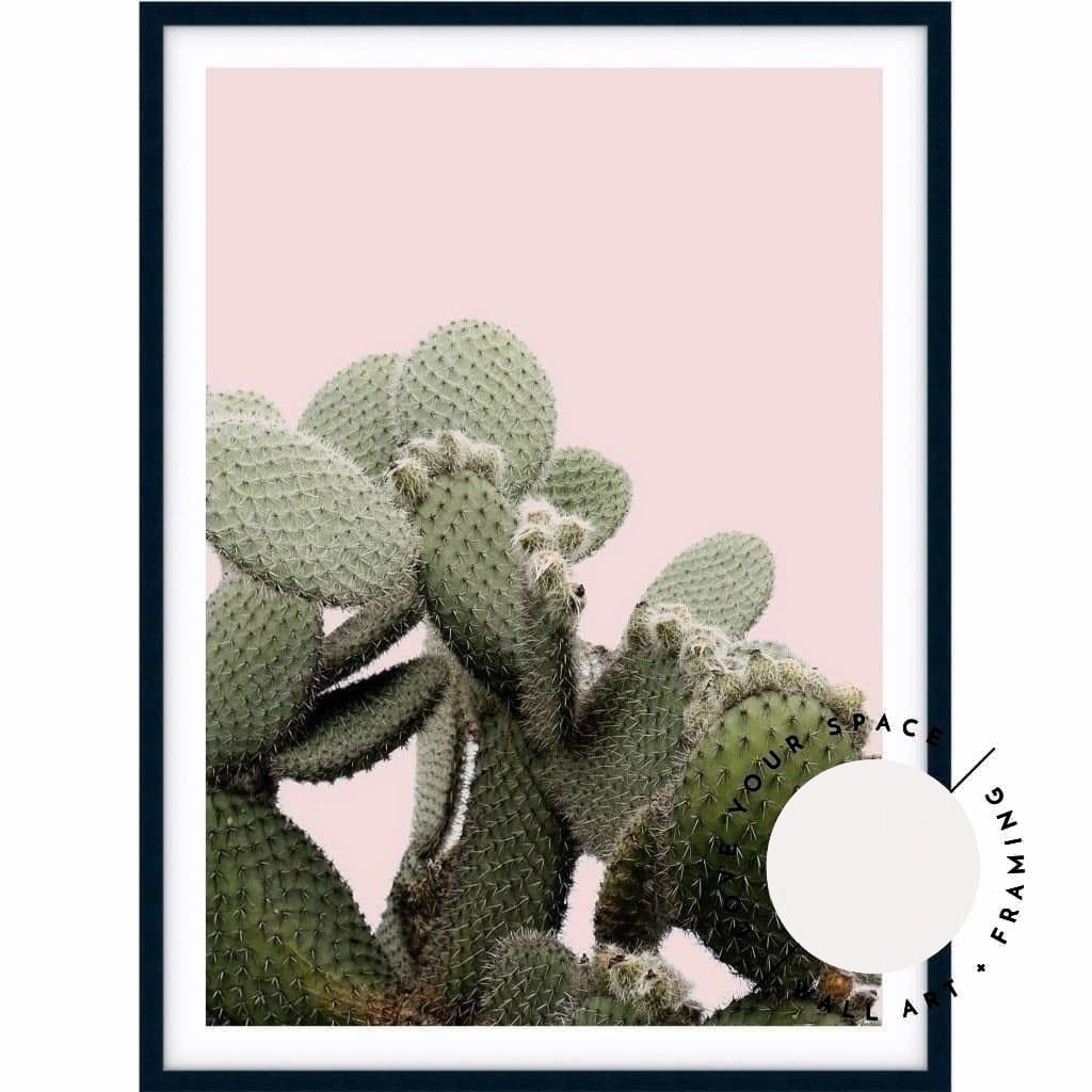 Prickly Pear On Pink - Love Your Space