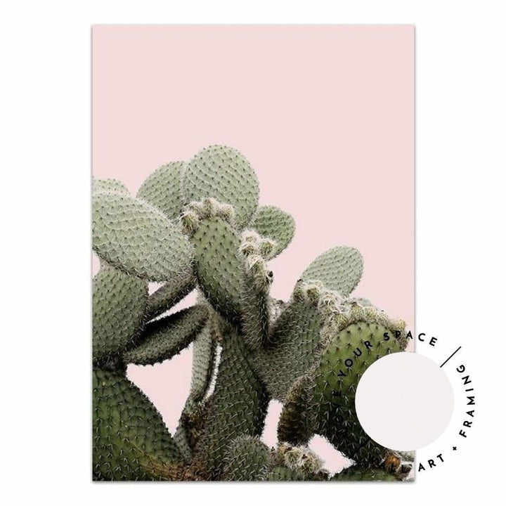 Prickly Pear On Pink - Love Your Space