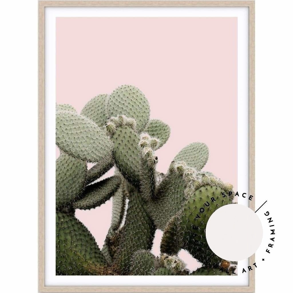 Prickly Pear On Pink - Love Your Space