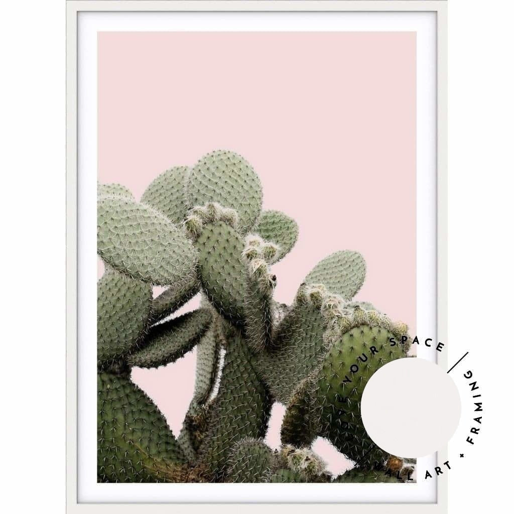 Prickly Pear On Pink - Love Your Space